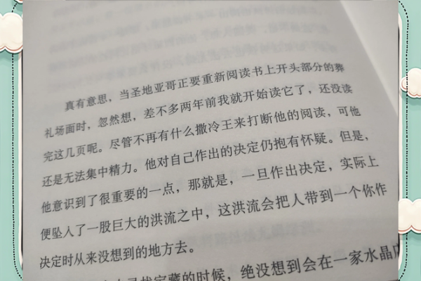 嗜书如命:在书海中遨游的心灵探寻之旅 嗜书如命:在书海中遨游的心灵探寻之旅