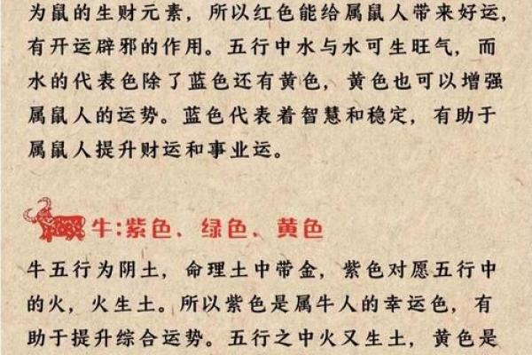 十二月属牛女性命运解析:她们的特点与人生机遇 十二月属牛女性命运解析:她们的特点与人生机遇