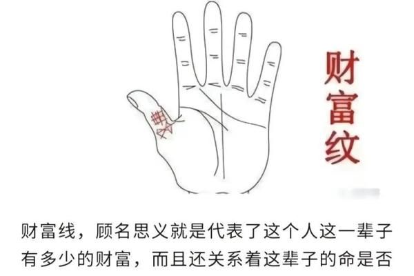揭秘掌纹：哪些掌纹预示着发财命，让你生活富足！