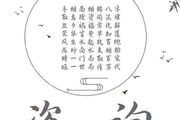 命理中的正官：带来荣华与智慧的命运之星