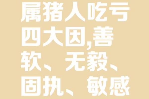 属猪的人命理解析：聪明、善良与恩惠的象征