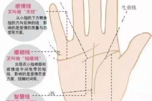 手相与命运:血管青紫象征的神秘力量解析 手相与命运:血管青紫象征的神秘力量解析