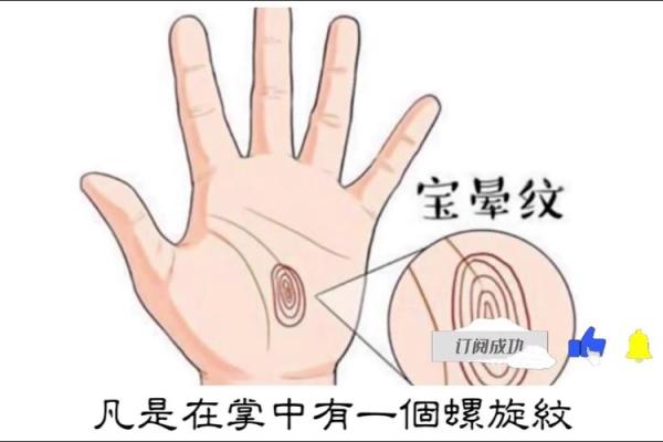 揭示富贵命的秘密：从指纹看人生的财富与机遇