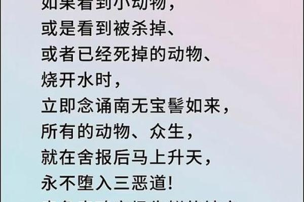 揭秘“杀命养命”的深刻含义与生活智慧 揭秘“杀命养命”的深刻含义与生活智慧