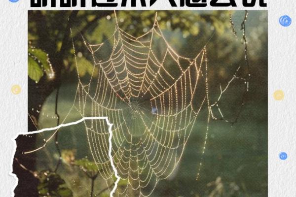 生不了孩子的女人,命运究竟如何?从不同角度看待人生 生不了孩子的女人,命运究竟如何?从不同角度看待人生