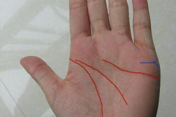 男人的手那么大，究竟预示着什么命运？探秘手相与性格的关系！