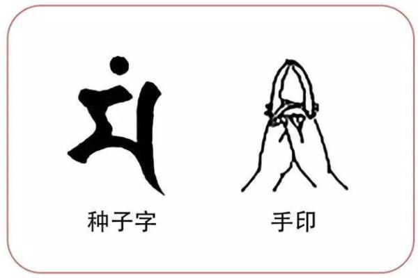 男孩菩萨命解析:命运与人生的深层联系 男孩菩萨命解析:命运与人生的深层联系