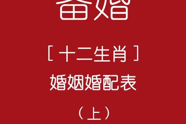 十二生肖命理配对:找到你最佳的生命伴侣 十二生肖命理配对:找到你最佳的生命伴侣
