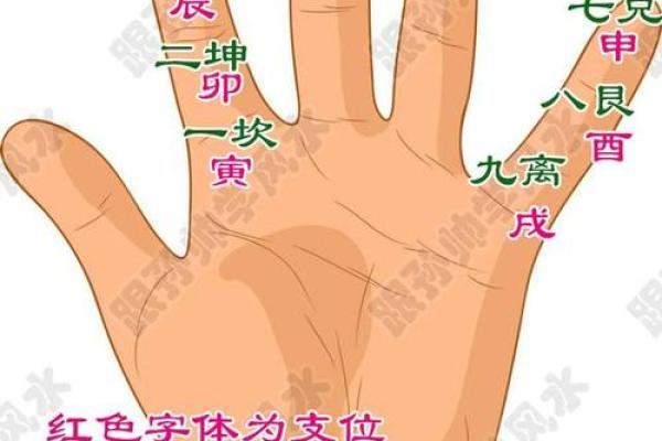 揭秘西四命人八宫布局，让你的生活焕然一新！