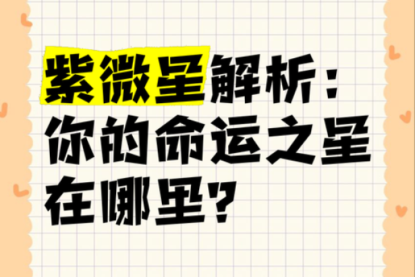 什么样的人是紫微星命?揭开神秘的命运围幕! 什么样的人是紫微星命?揭开神秘的命运围幕!