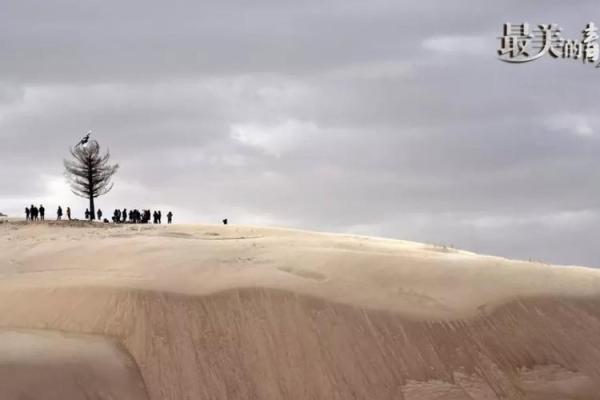 秦命与童欣:绽放在岁月中的青春诗篇 秦命与童欣:绽放在岁月中的青春诗篇