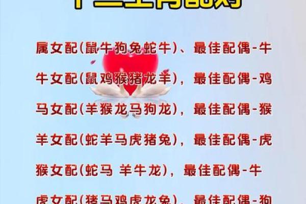 属鼠蛇晒日的命理解析与生活启示