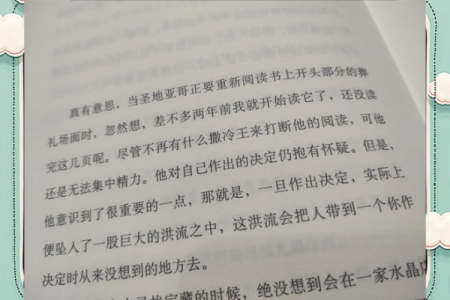 嗜书如命：在书海中遨游的心灵探寻之旅