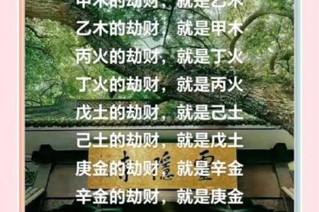 揭秘木命与其他命理相配的财运之道！