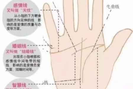 手相与命运：血管青紫象征的神秘力量解析