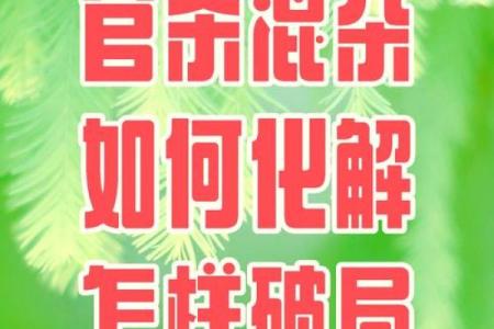 适合成为风水师的女性命理特征解析与发展建议