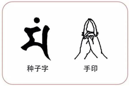 男孩菩萨命解析：命运与人生的深层联系