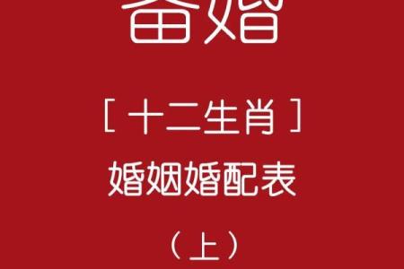 十二生肖命理配对：找到你最佳的生命伴侣