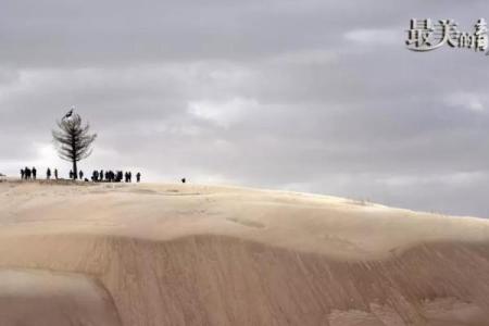 秦命与童欣：绽放在岁月中的青春诗篇