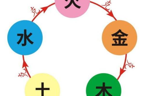 如何通过五行属性看命理:木命与水命的奥秘 如何通过五行属性看命理:木命与水命的奥秘