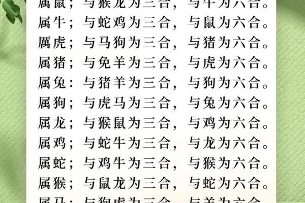 属狗牛进食：探寻命理与饮食的奇妙关系