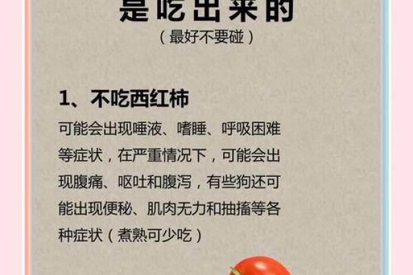 属狗牛进食：探寻命理与饮食的奇妙关系