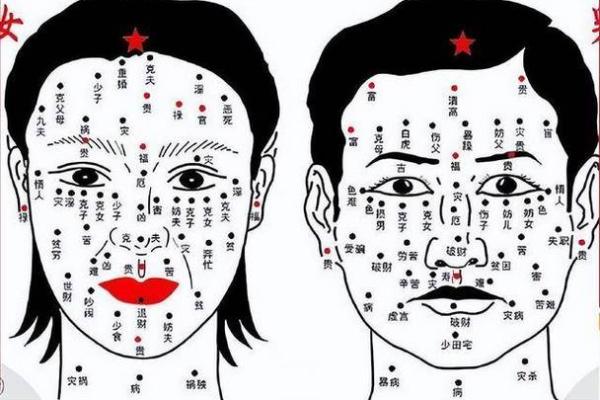 颧骨处的痦子:揭开面相学中的秘密与命运象征 颧骨处的痦子:揭开面相学中的秘密与命运象征
