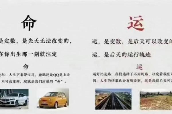 命好与命不好：你身上有哪些命运的轨迹？