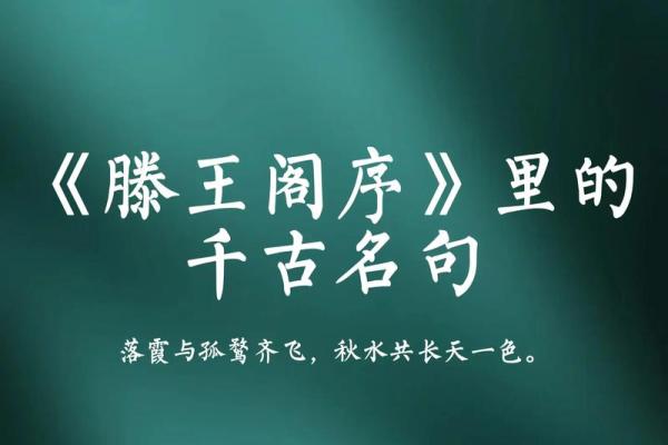 三尺微命：生命之歌的深情回响