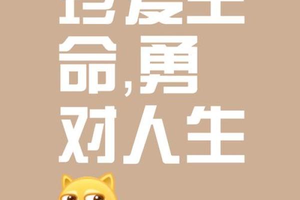 生命的意义：当男生只有一个蛋时，他的命运如何？