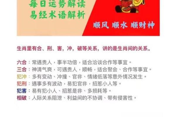 揭秘天下之太命：生肖背后的秘密与智慧