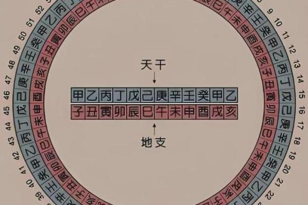 女命地支四冲：命运的无奈与转机