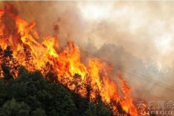 山头火命—一生的光芒与激情,五行和谐美好人生 山头火命—一生的光芒与激情,五行和谐美好人生