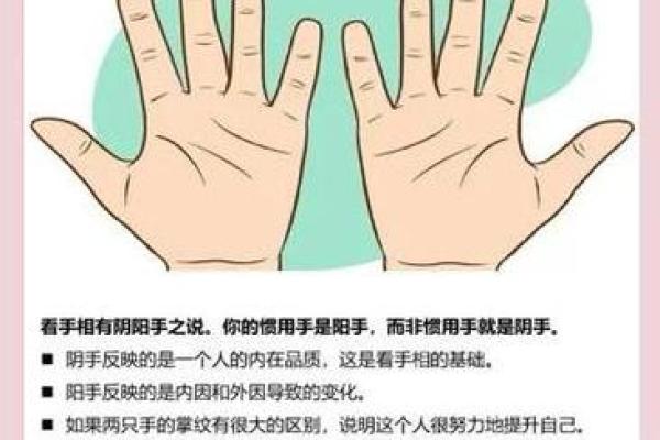 手相大小揭秘：从命运的细节看人生的走向