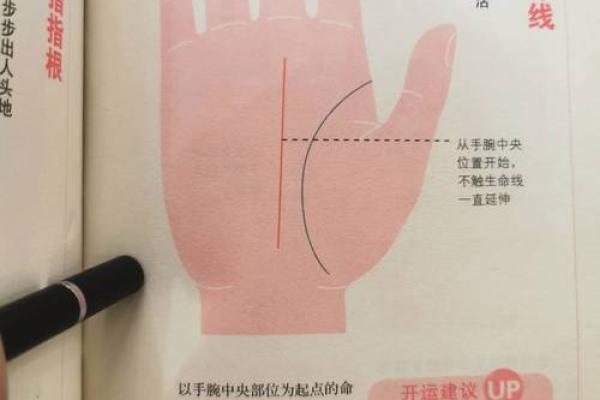 手相大小揭秘：从命运的细节看人生的走向