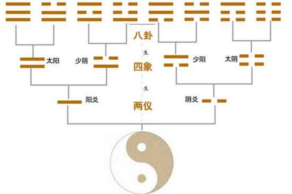 乾命与坤命：理解中华文化的阴阳之道