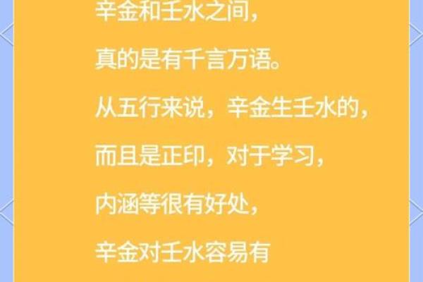 壬水命与贵人属相：揭开命运的神秘面纱