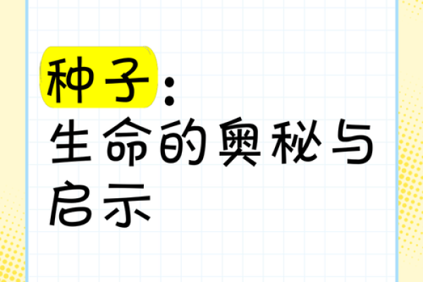 深入探讨一二零零六年出生的命理奥秘与生活启示 深入探讨一二零零六年出生的命理奥秘与生活启示