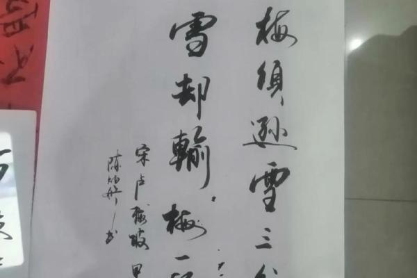 书法提现:命书的神秘与魅力 书法提现:命书的神秘与魅力