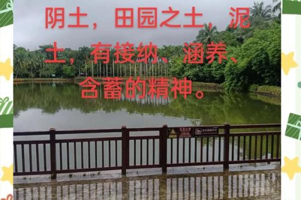 命运与土：如何通过命理克制壁上土命的挑战与制胜之道