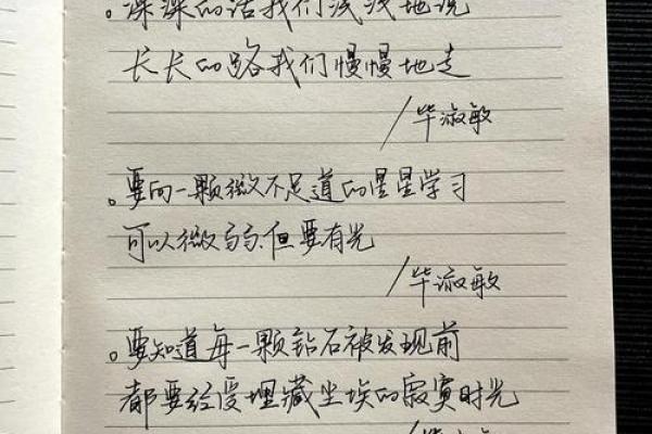 解读《审命记》：生命的启示与智慧