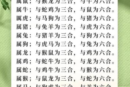 属狗牛进食：探寻命理与饮食的奇妙关系