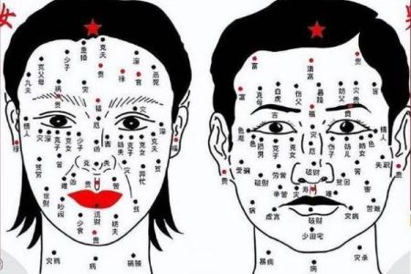 颧骨处的痦子：揭开面相学中的秘密与命运象征