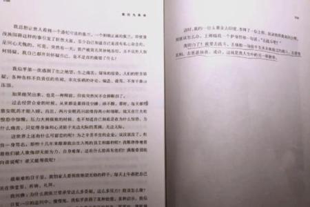 《上海九条命：神秘启示与传奇故事即将上映！》