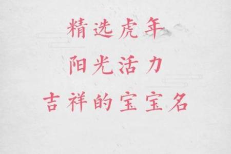 虎年木命小孩本命年吉祥物与生活建议