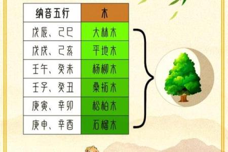 木命与五行命相合婚配的理想选择与解析