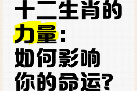 揭示女子十八岁生肖命运：你的生肖在生活中的秘密力量