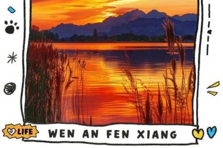 农历初一生日命硬的深意与启示