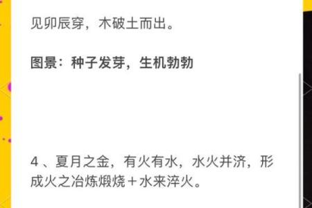 什么叫命局？揭示命运的奥秘与人生的关键