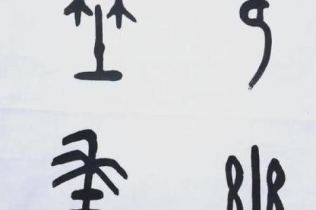 书法提现：命书的神秘与魅力